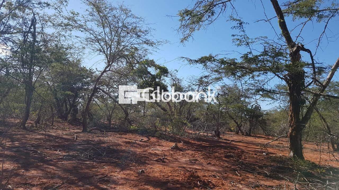 Chácara à venda Área Rural de Montes Claros 0m² Montes Claros MG: | Foto_migracao | 6