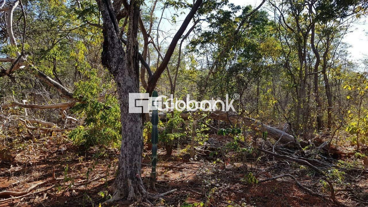 Chácara à venda Área Rural de Montes Claros 0m² Montes Claros MG: | Foto_migracao | 7