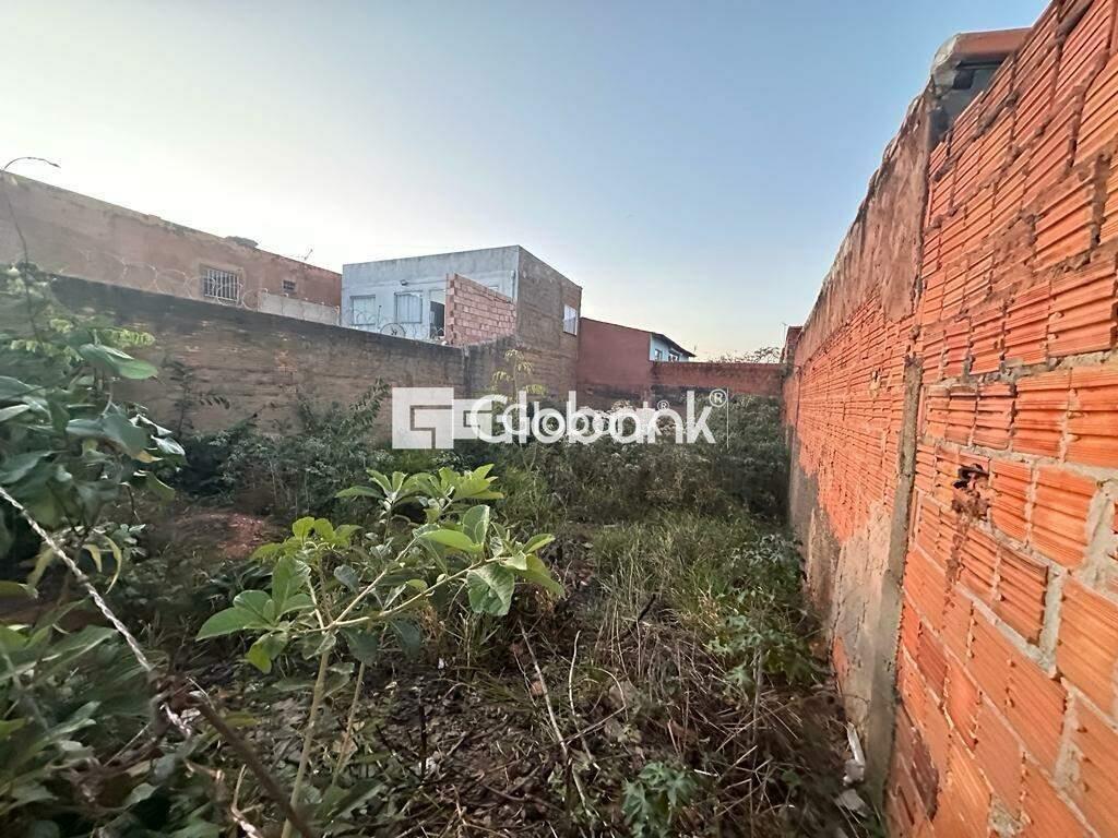 Terreno à venda Santo Antônio 175m² Montes Claros MG: | Foto_migracao | 1