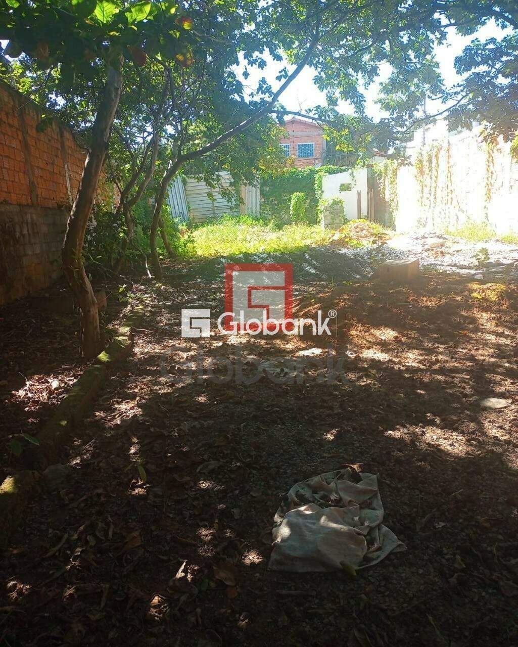 Terreno à venda Major Prates 0m² Montes Claros MG: Foto 02 | Foto_migracao | 2
