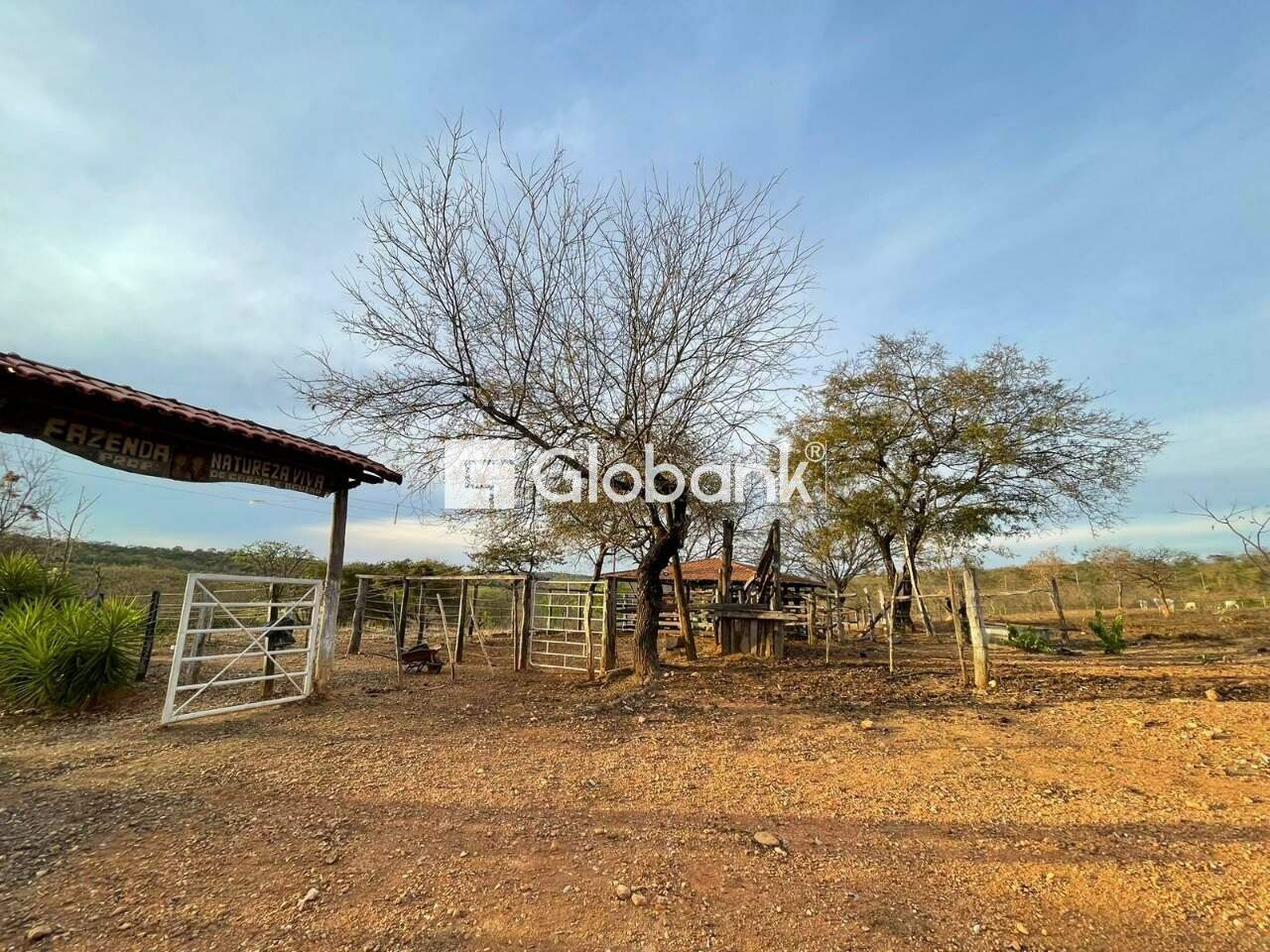 Fazenda à venda Área Rural de Montes Claros 1.680.000m² Montes Claros MG: 