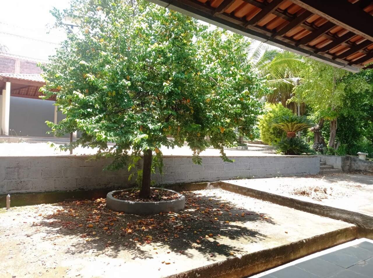 Casa 3 quartos à venda Jaraguá 300m² Montes Claros MG: Quintal