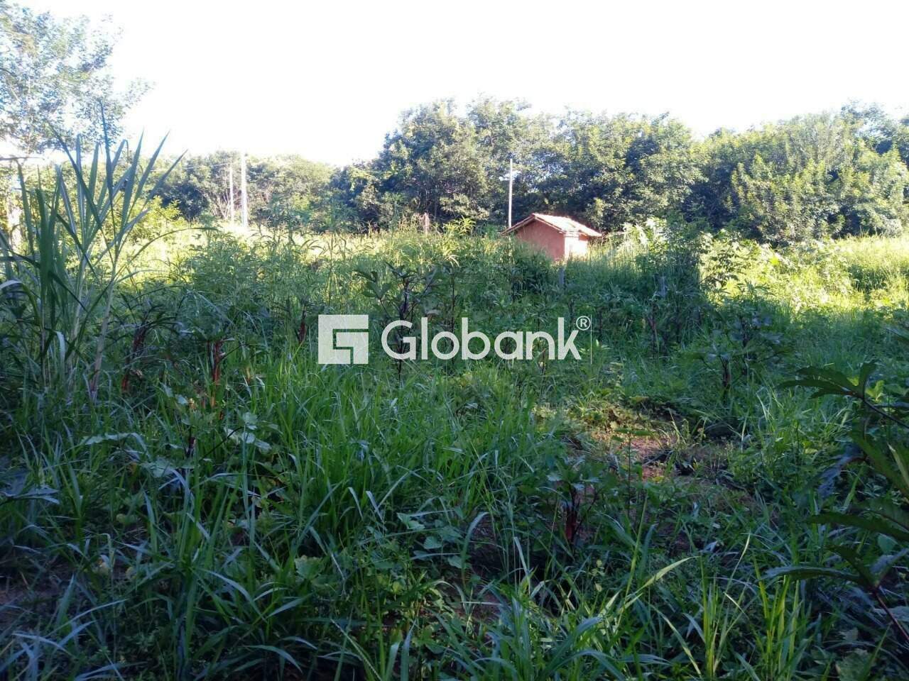 Fazenda à venda Área Rural de Montes Claros 0m² Montes Claros MG: 