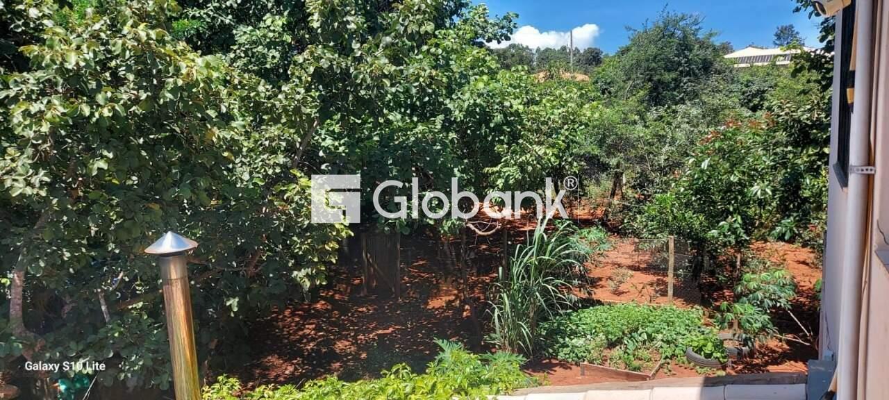 Casa 3 quartos à venda Alice Maia 2.000m² Montes Claros MG: Pomar