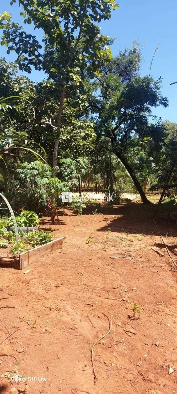 Casa 3 quartos à venda Alice Maia 2.000m² Montes Claros MG: 