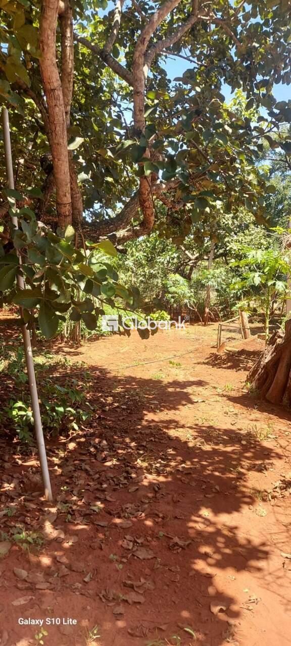 Casa 3 quartos à venda Alice Maia 2.000m² Montes Claros MG: 