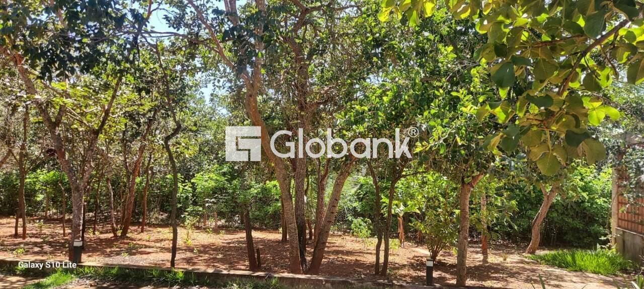 Casa 3 quartos à venda Alice Maia 2.000m² Montes Claros MG: 