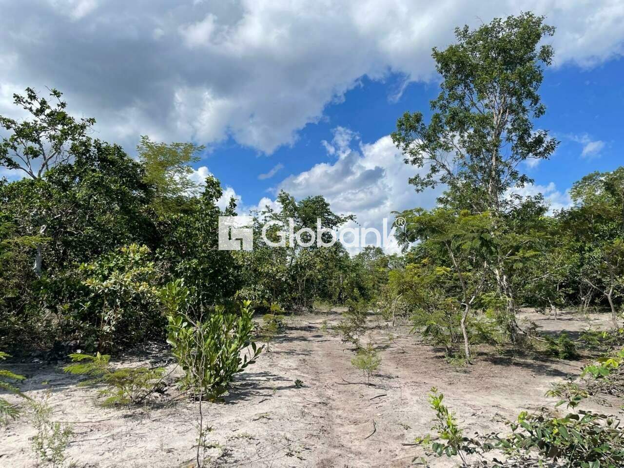 Sítio à venda Centro 0m² Januária MG: Terras