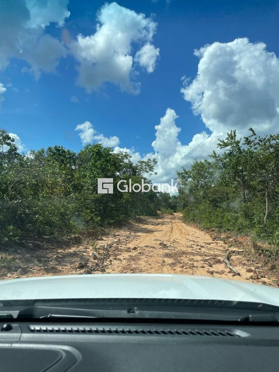 Sítio à venda Centro 0m² Januária MG: 