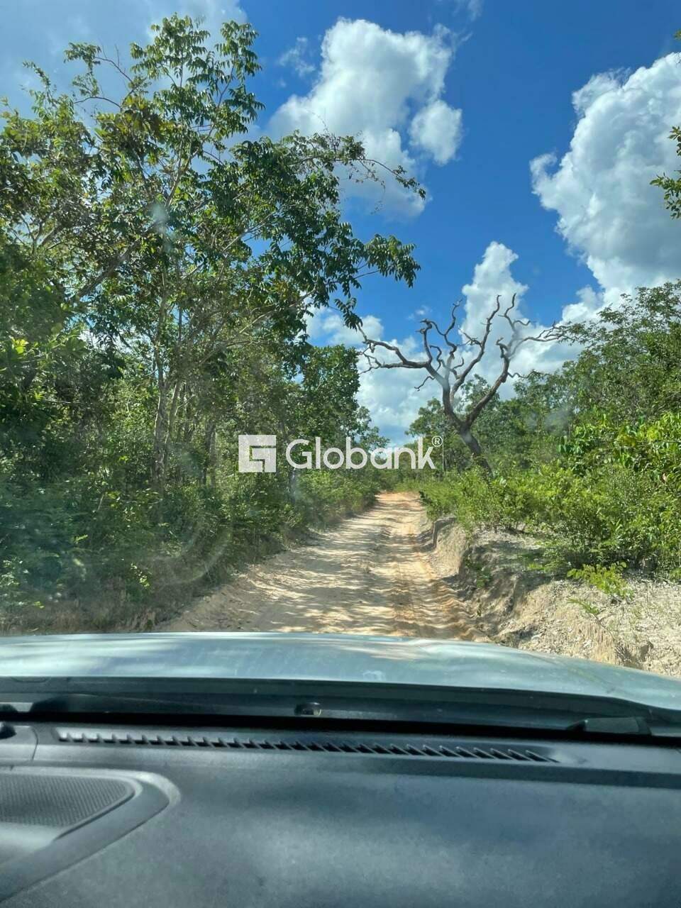 Sítio à venda Centro 0m² Januária MG: 