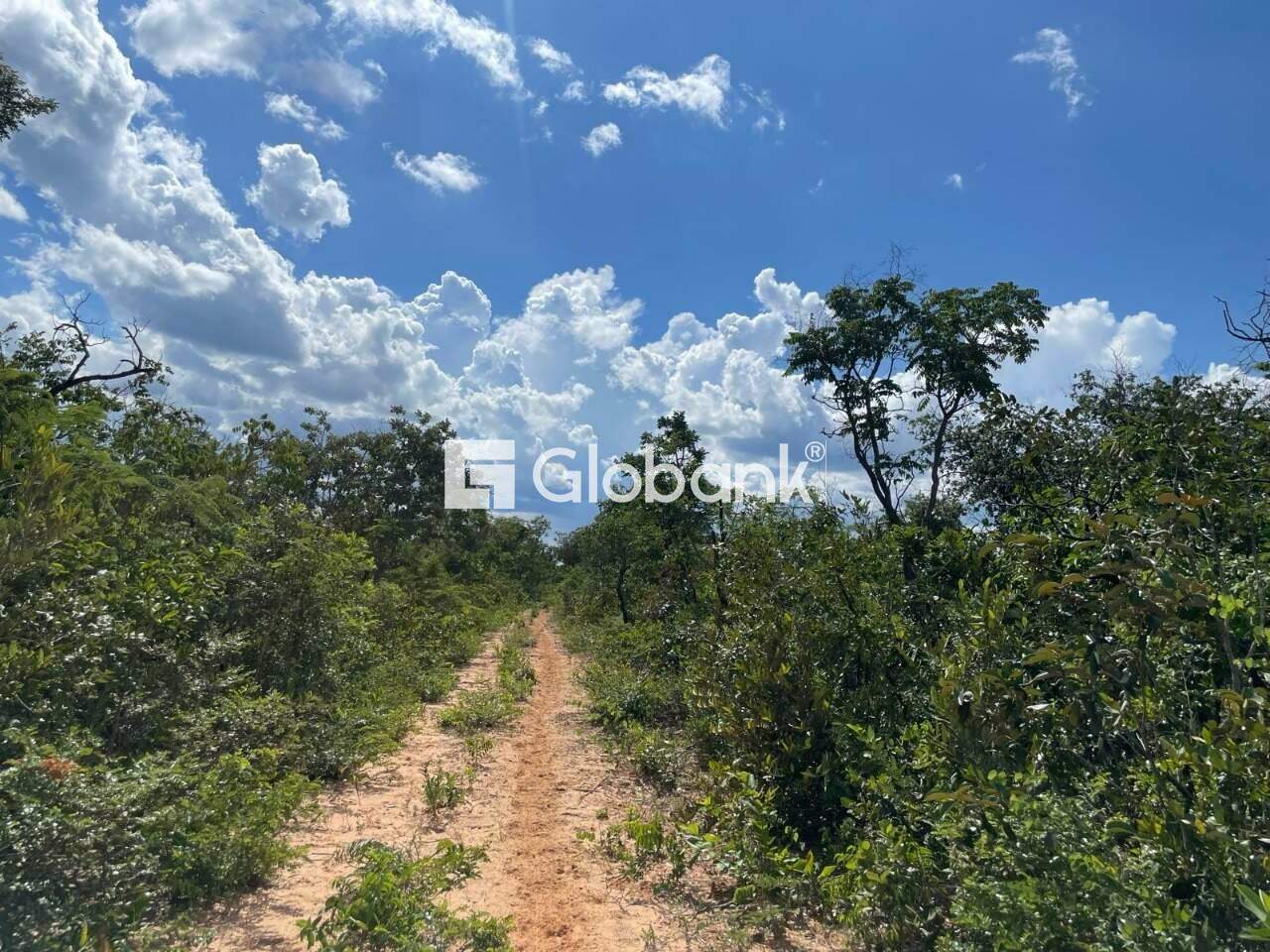 Sítio à venda Centro 0m² Januária MG: 