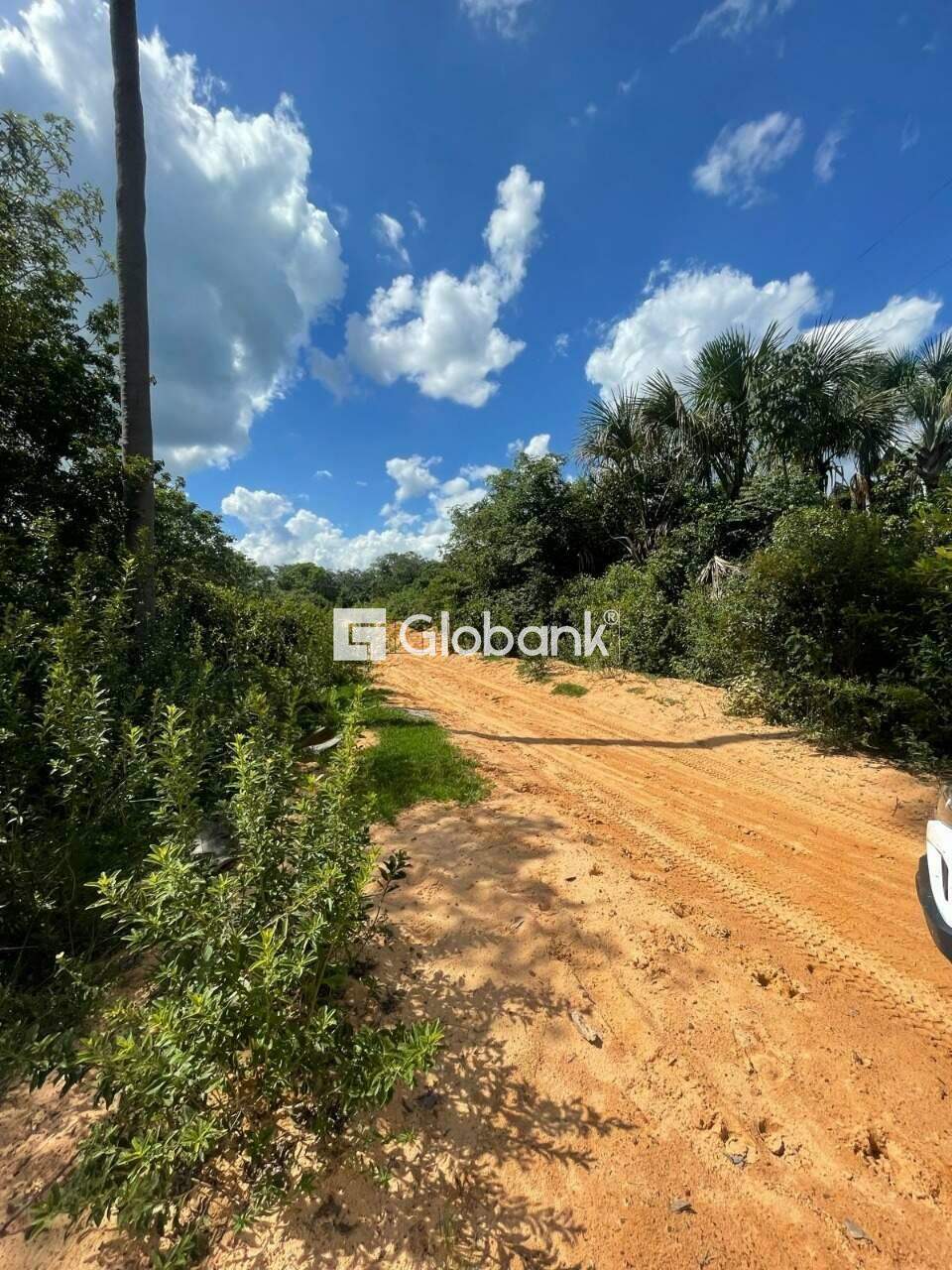 Sítio à venda Centro 0m² Januária MG: 