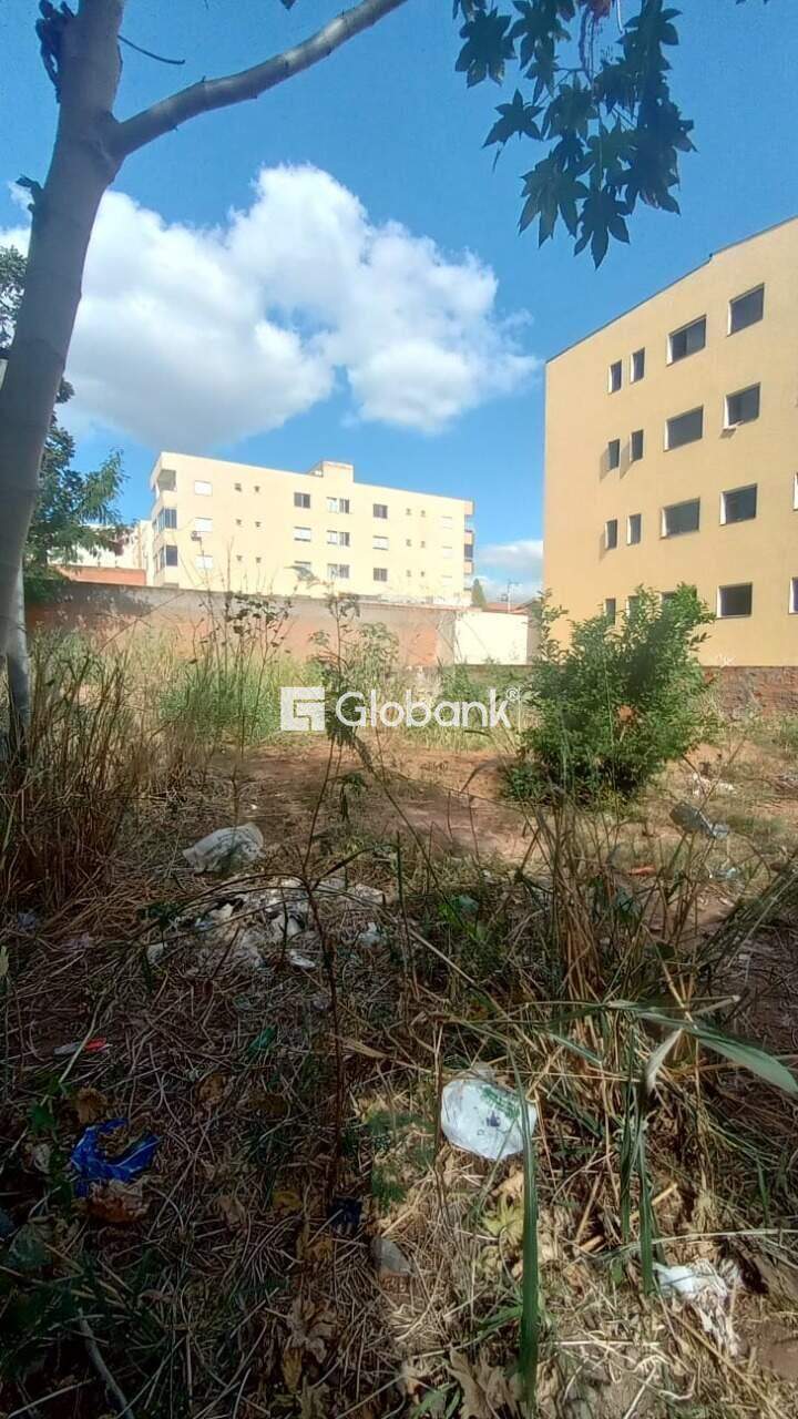 Terreno à venda Canelas 523m² Montes Claros MG: 5