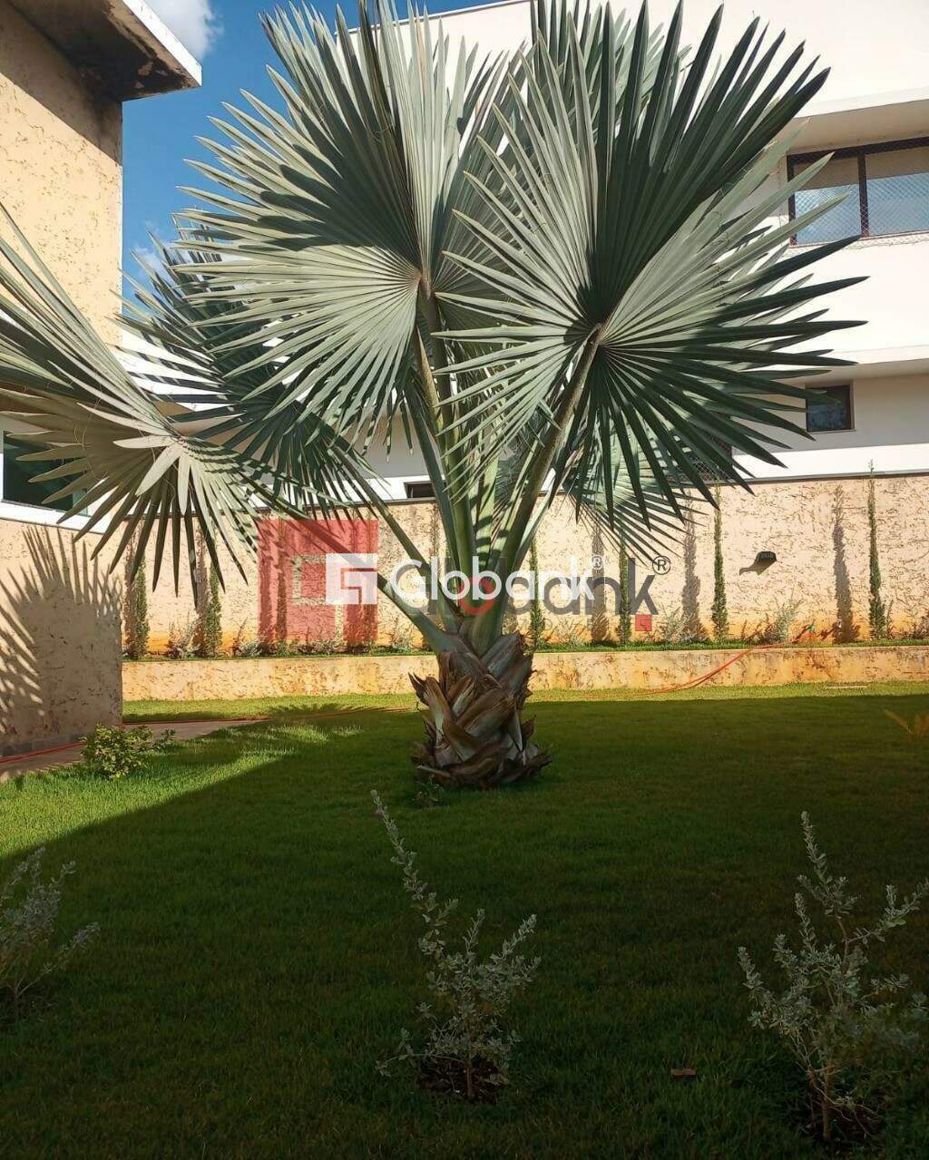 Casa 4 quartos à venda Ibituruna 400m² Montes Claros MG: Foto 19 | Foto_migracao | 20