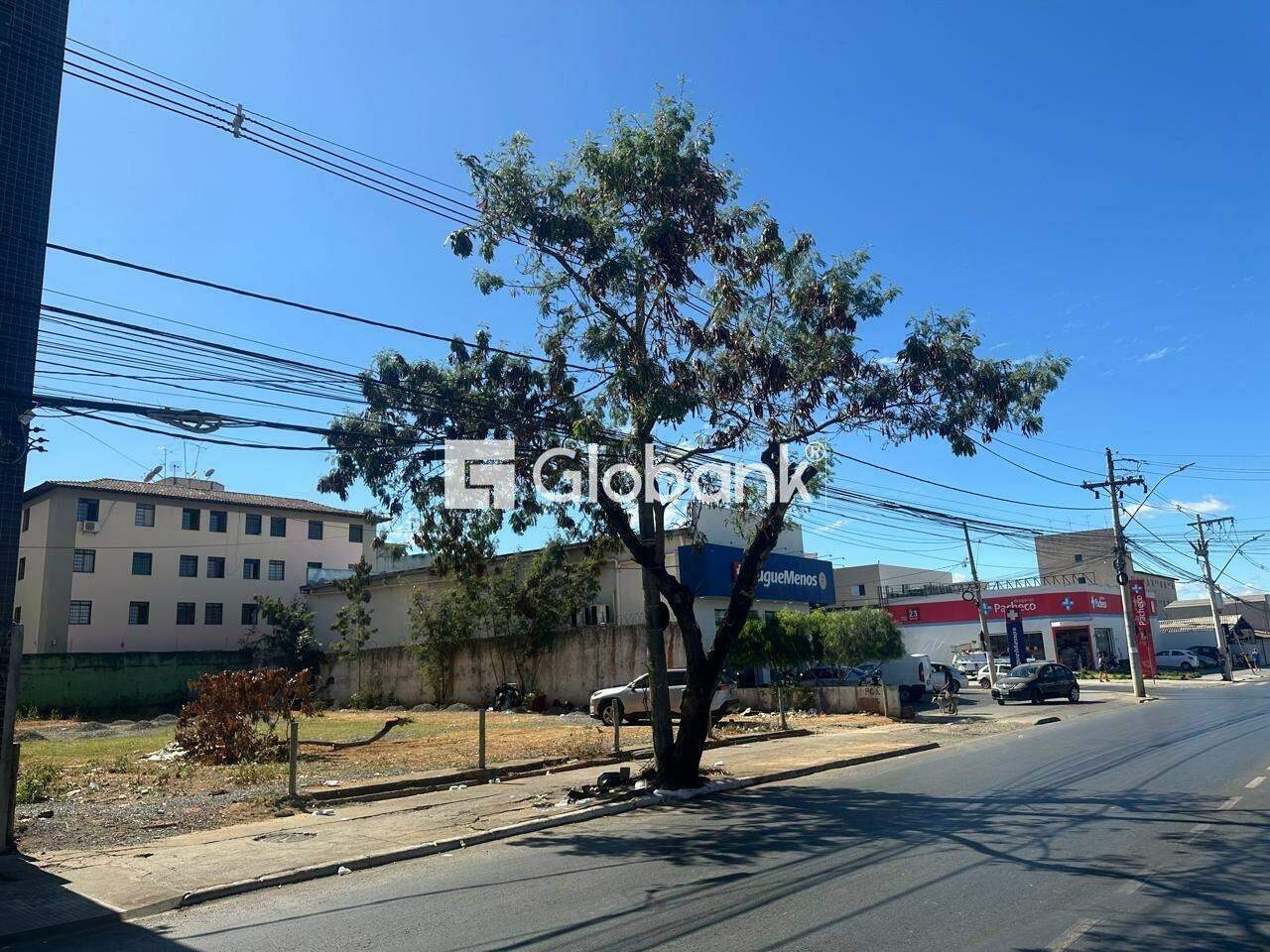 Terreno para aluguel Cidade Nova 0m² Montes Claros MG: 