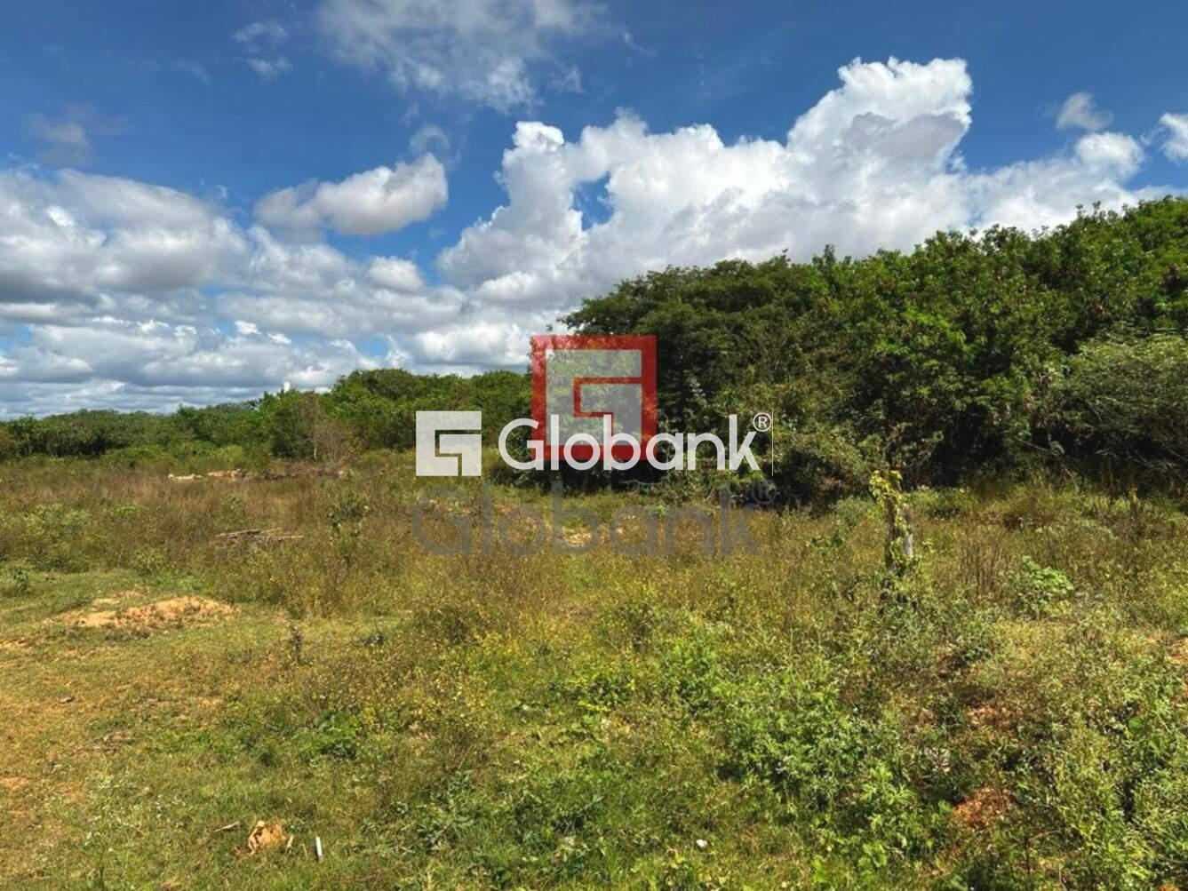 Terreno à venda Carmelo 0m² Montes Claros MG: Foto 06 | Foto_migracao | 6