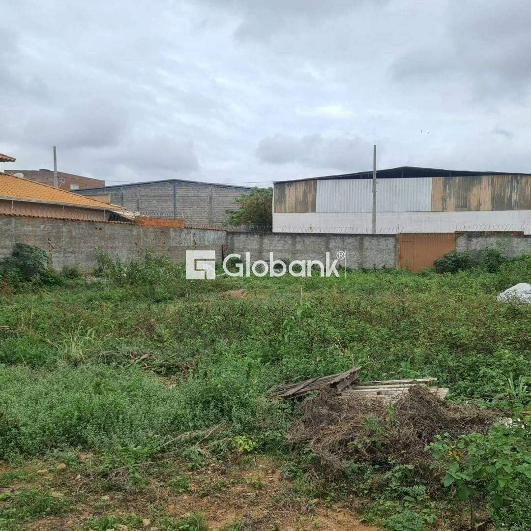 Terreno à venda Canelas 0m² Montes Claros MG: 