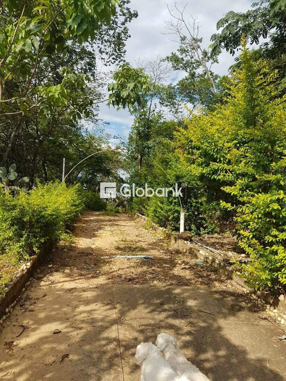 Fazenda à venda Área Rural de Montes Claros 55.000m² Montes Claros MG: 
