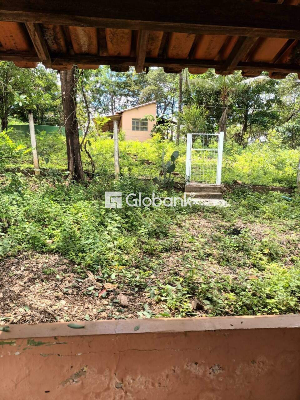Fazenda à venda Área Rural de Montes Claros 55.000m² Montes Claros MG: 