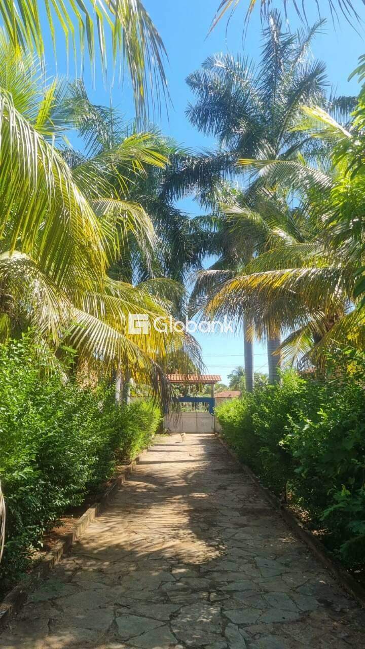 Fazenda à venda Zona Rural 8.200m² Januária MG: 