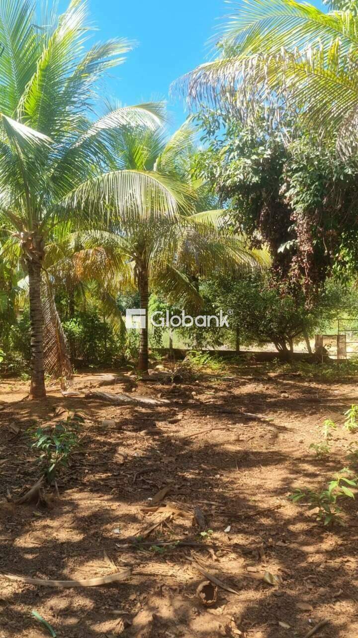 Fazenda à venda Zona Rural 8.200m² Januária MG: 