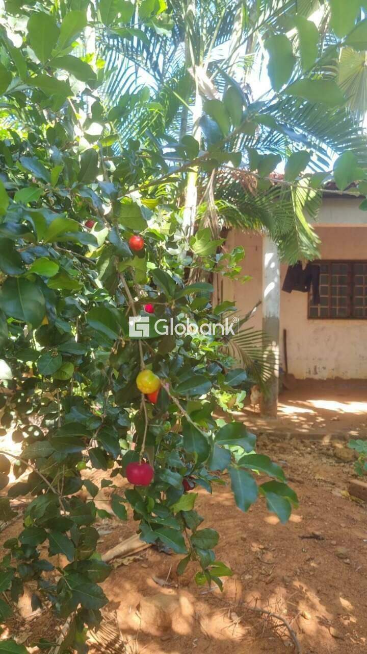 Fazenda à venda Zona Rural 8.200m² Januária MG: 