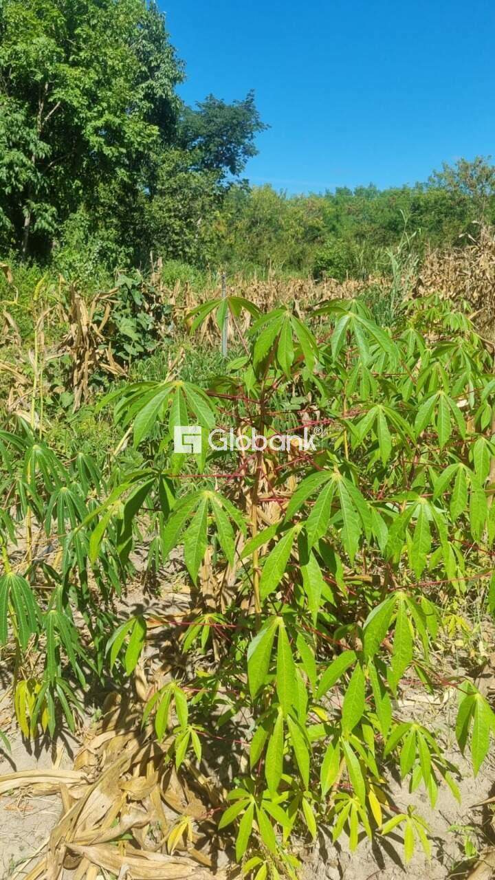 Fazenda à venda Zona Rural 8.200m² Januária MG: 