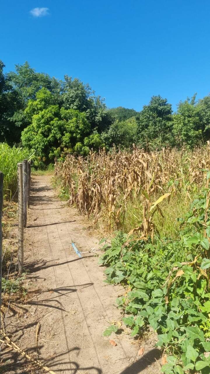 Fazenda à venda Zona Rural 8.200m² Januária MG: 