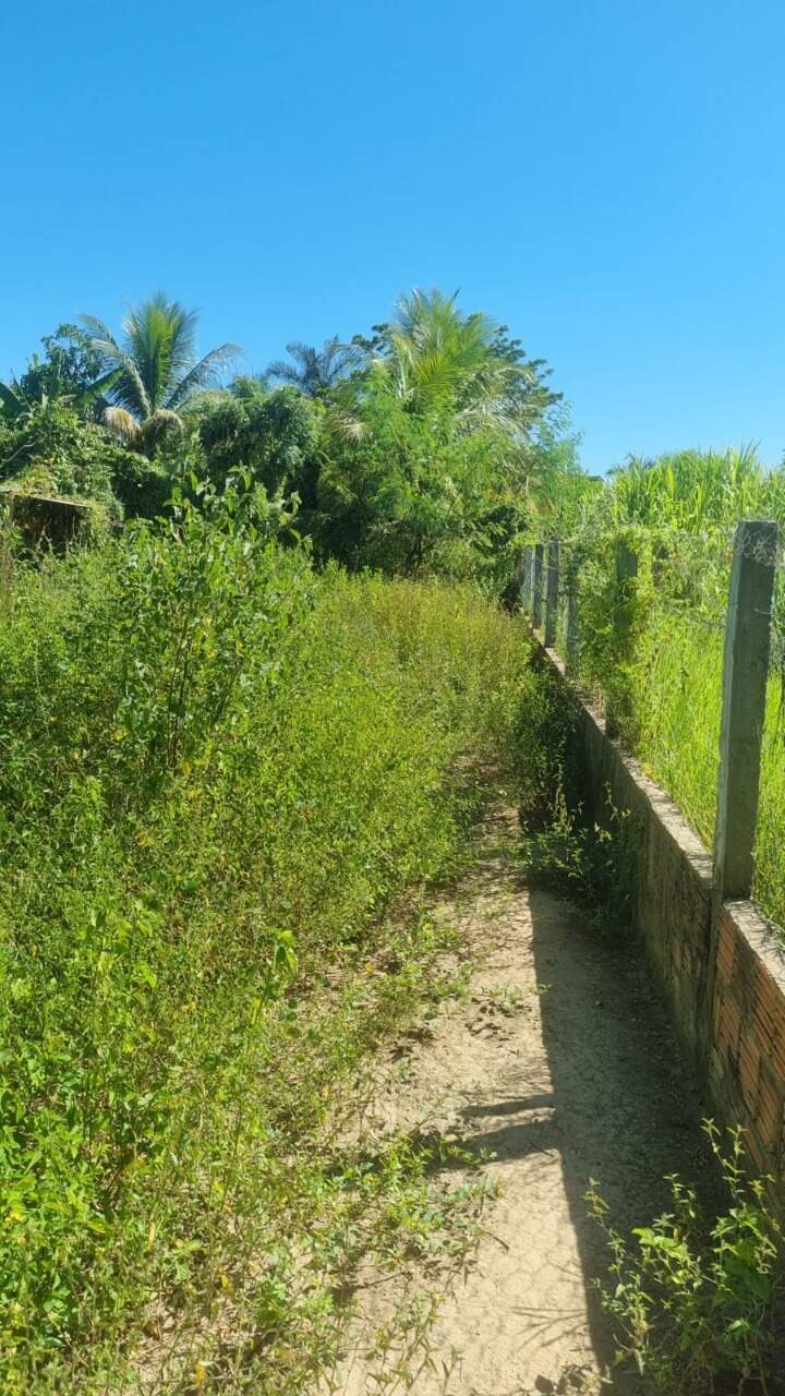 Fazenda à venda Zona Rural 8.200m² Januária MG: 