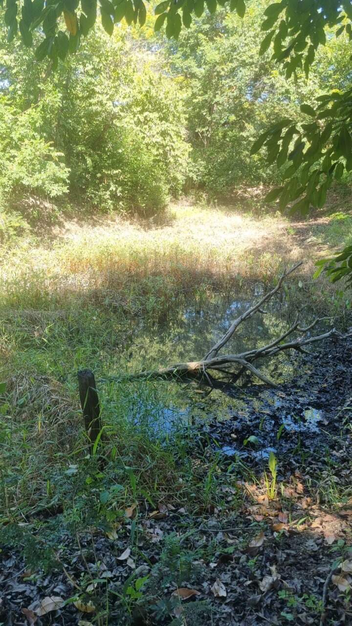 Fazenda à venda Zona Rural 8.200m² Januária MG: 