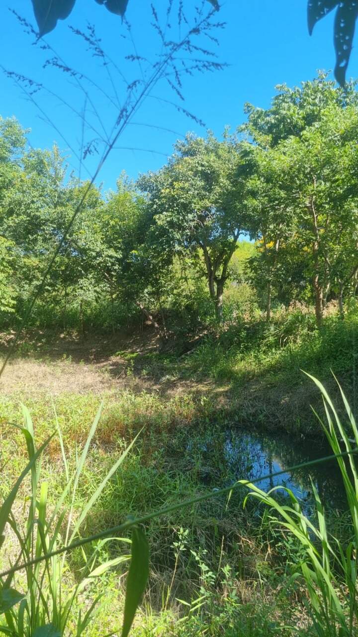 Fazenda à venda Zona Rural 8.200m² Januária MG: 