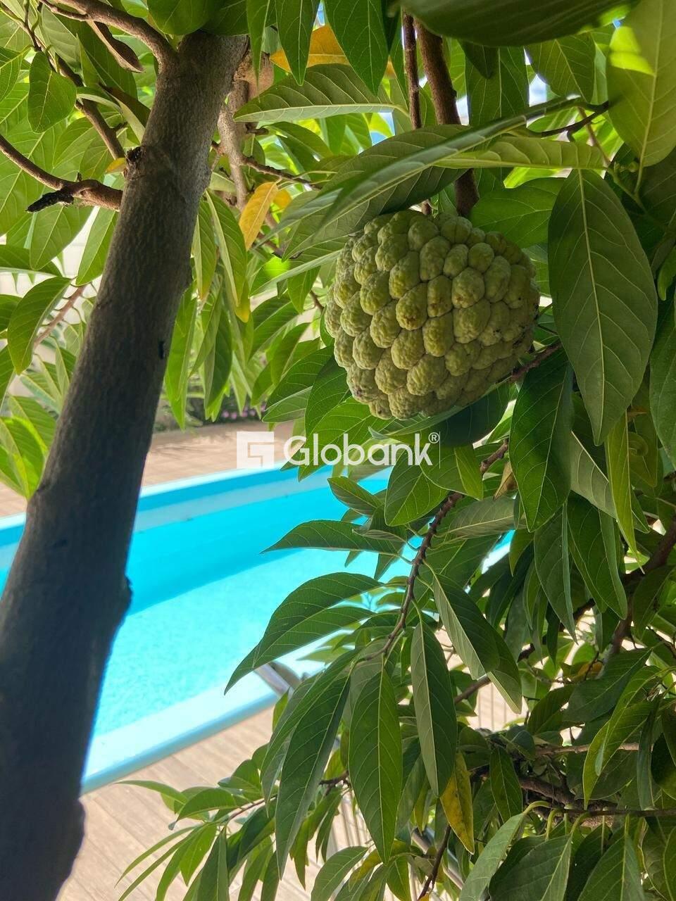 Casa 9 quartos à venda Barcelona Park 450m² Montes Claros MG: 