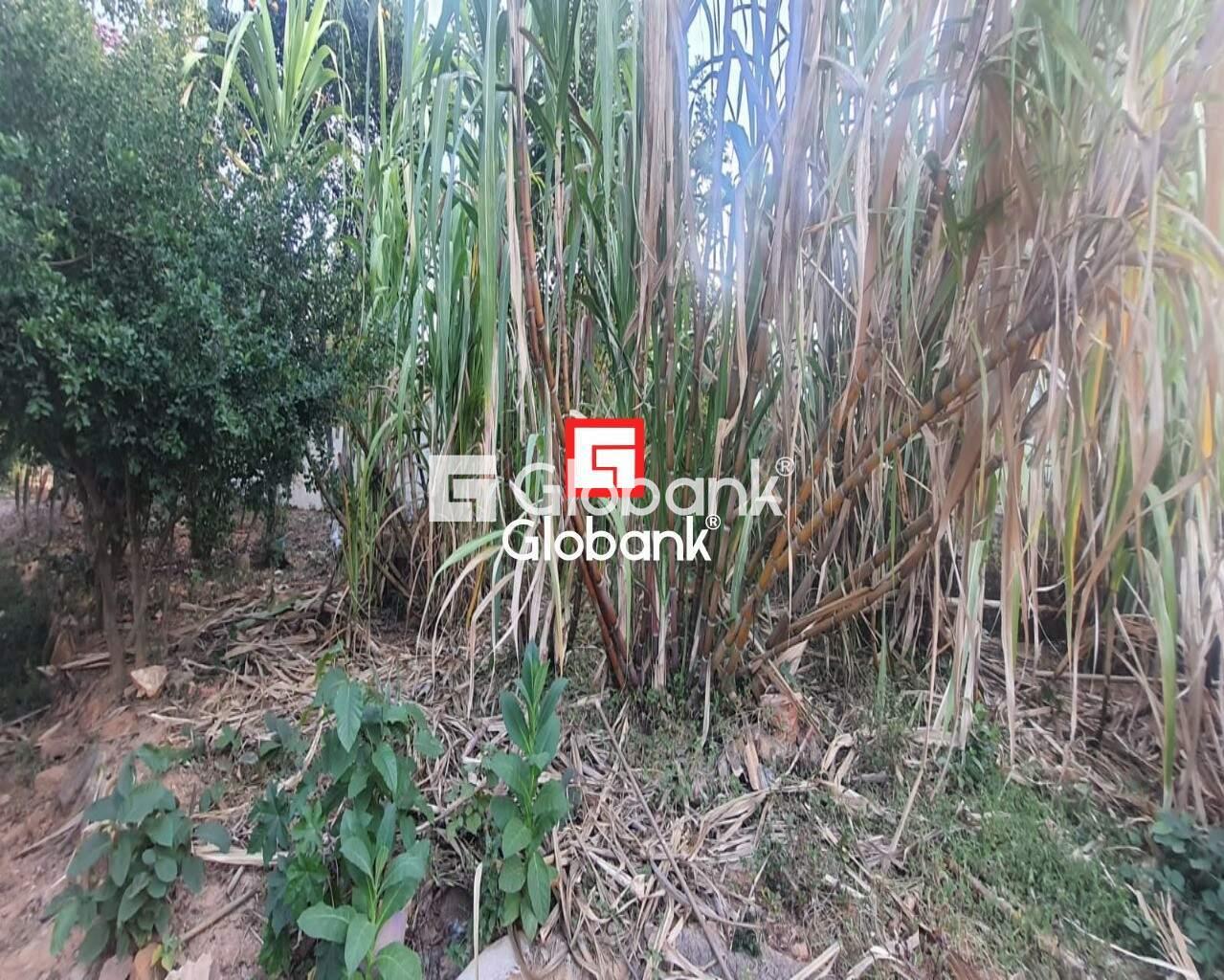 Chácara 2 quartos à venda Zona Rural Mandacarú 0m² Montes Claros MG: Foto 21 | Foto_migracao | 21