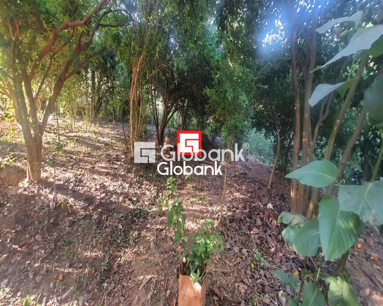 Chácara 2 quartos à venda Zona Rural Mandacarú 0m² Montes Claros MG: Foto 12 | Foto_migracao | 12
