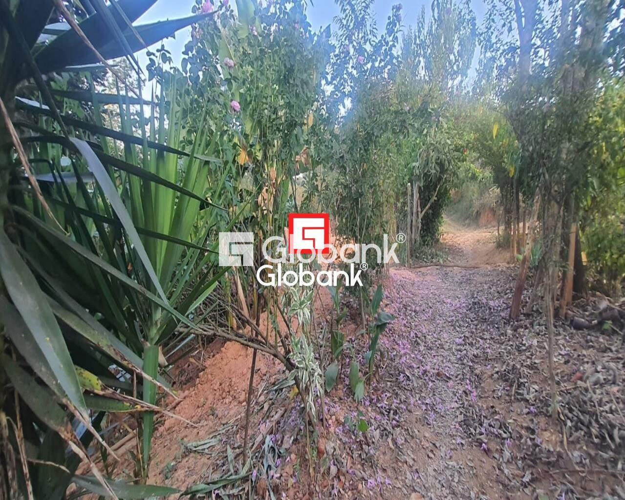 Chácara 2 quartos à venda Zona Rural Mandacarú 0m² Montes Claros MG: Foto 03 | Foto_migracao | 3
