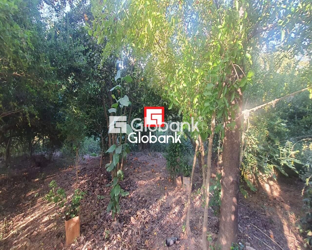 Chácara 2 quartos à venda Zona Rural Mandacarú 0m² Montes Claros MG: Foto 20 | Foto_migracao | 20