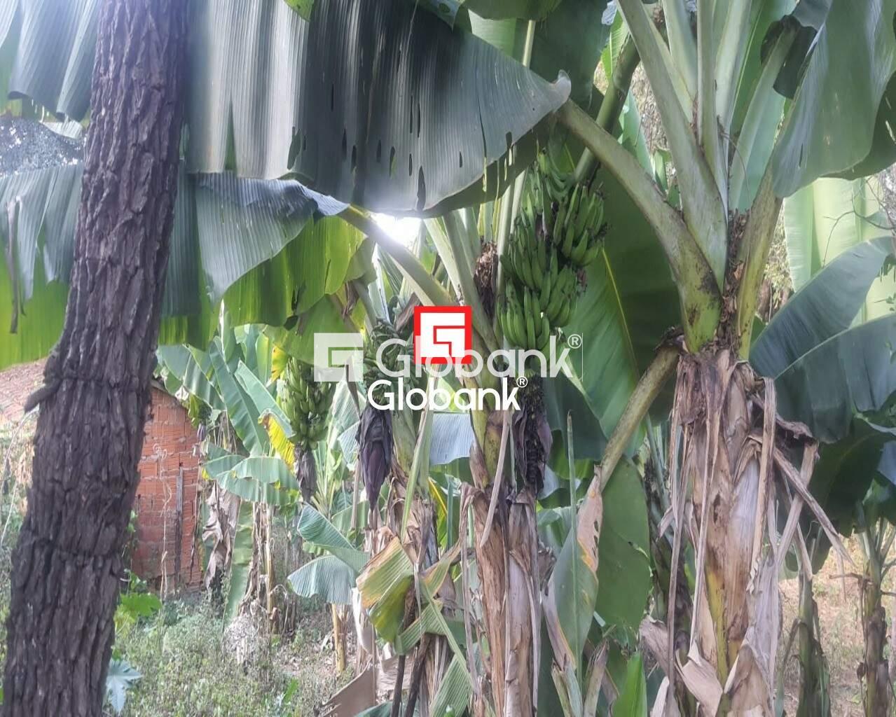 Chácara 2 quartos à venda Zona Rural Mandacarú 0m² Montes Claros MG: Foto 09 | Foto_migracao | 9