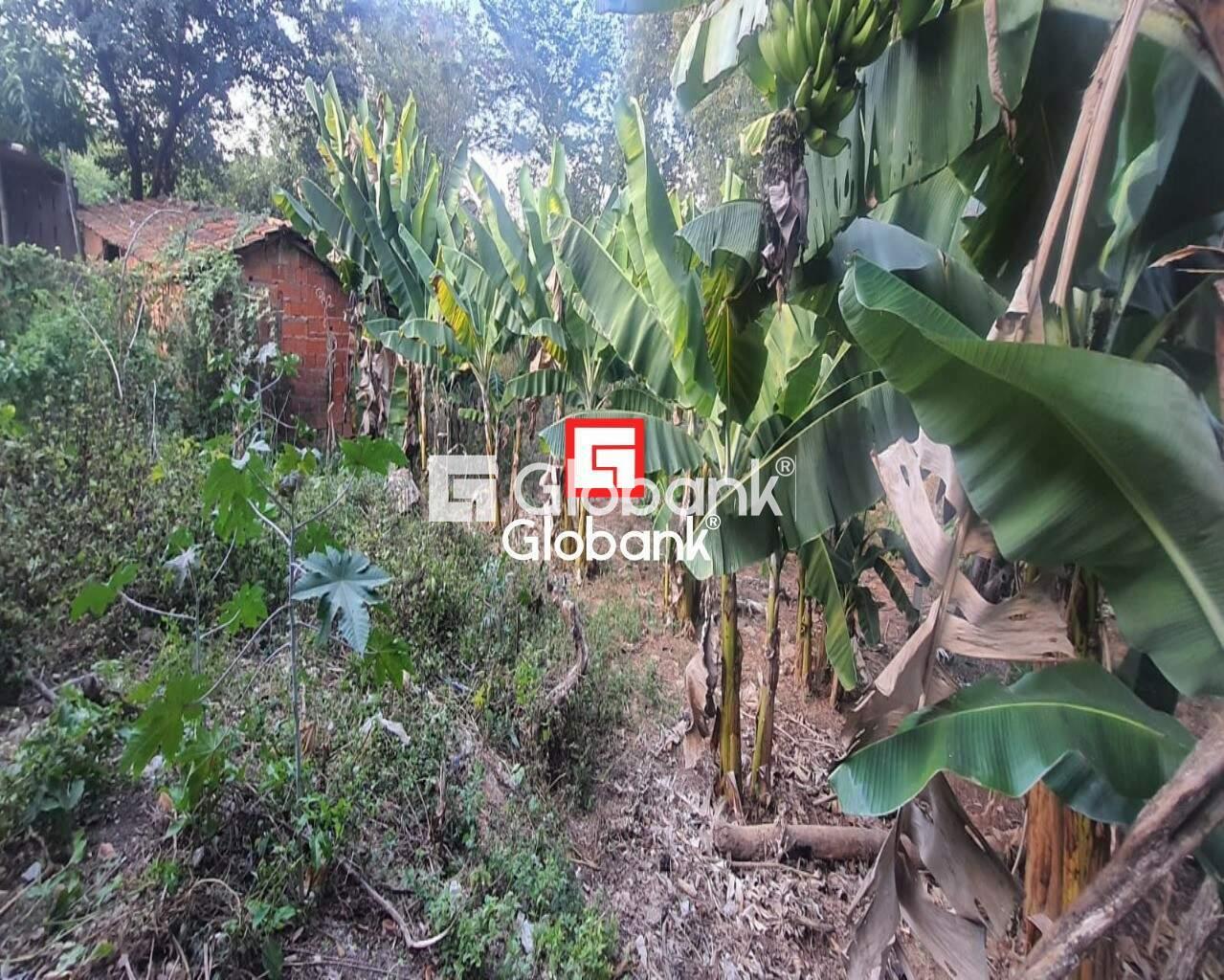 Chácara 2 quartos à venda Zona Rural Mandacarú 0m² Montes Claros MG: Foto 10 | Foto_migracao | 10