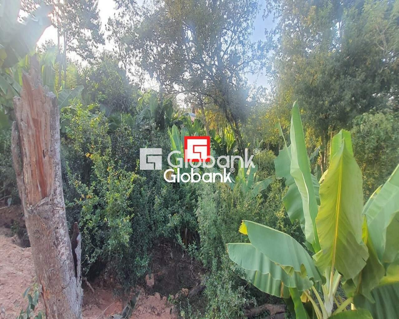 Chácara 2 quartos à venda Zona Rural Mandacarú 0m² Montes Claros MG: Foto 23 | Foto_migracao | 23