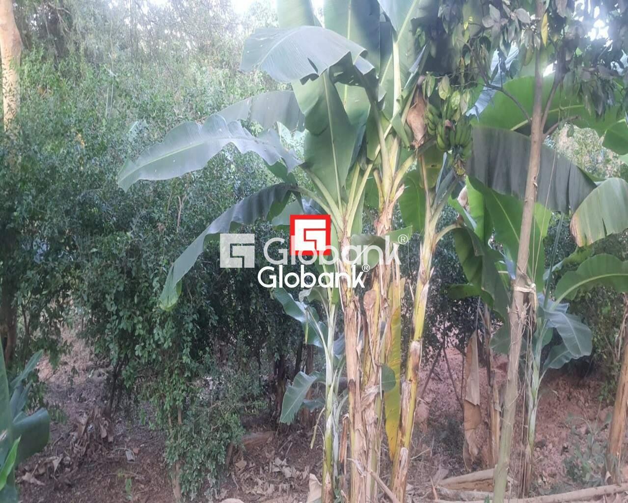 Chácara 2 quartos à venda Zona Rural Mandacarú 0m² Montes Claros MG: Foto 15 | Foto_migracao | 15
