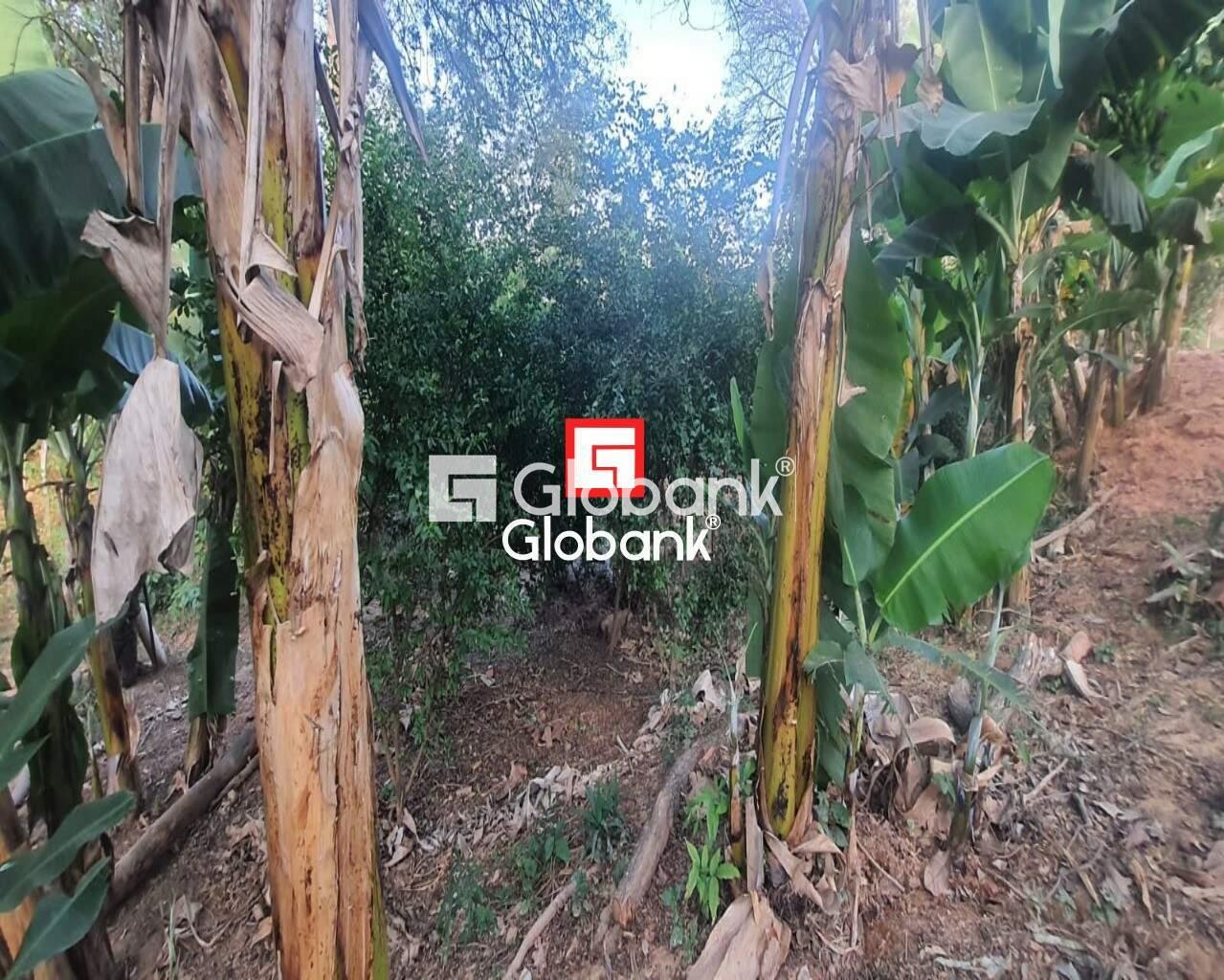 Chácara 2 quartos à venda Zona Rural Mandacarú 0m² Montes Claros MG: Foto 18 | Foto_migracao | 18