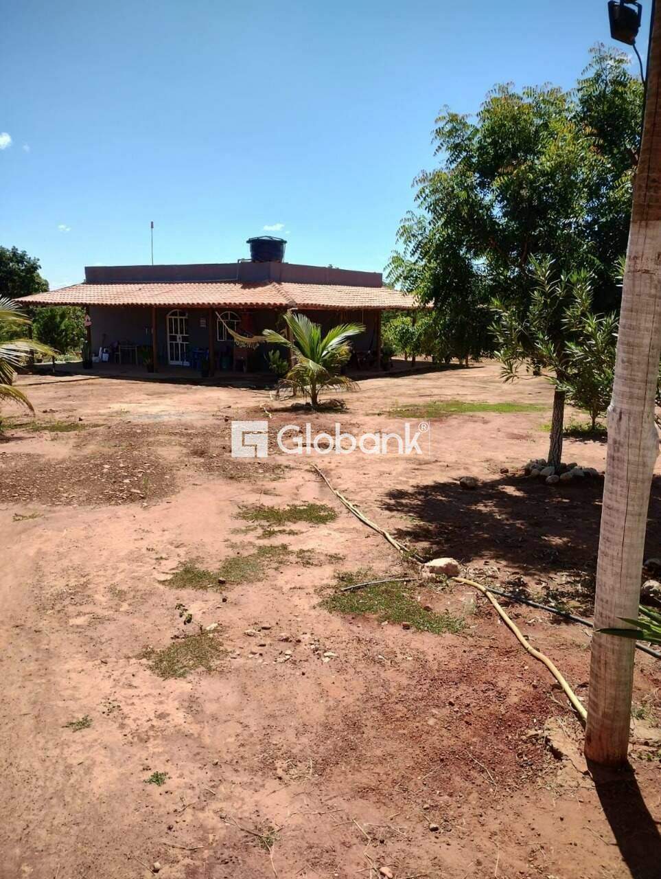 Fazenda à venda Área Rural de Montes Claros 0m² Montes Claros MG: 