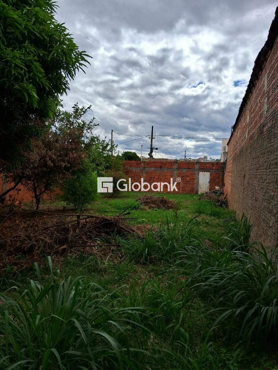 Terreno à venda Novo Delfino 0m² Montes Claros MG: 