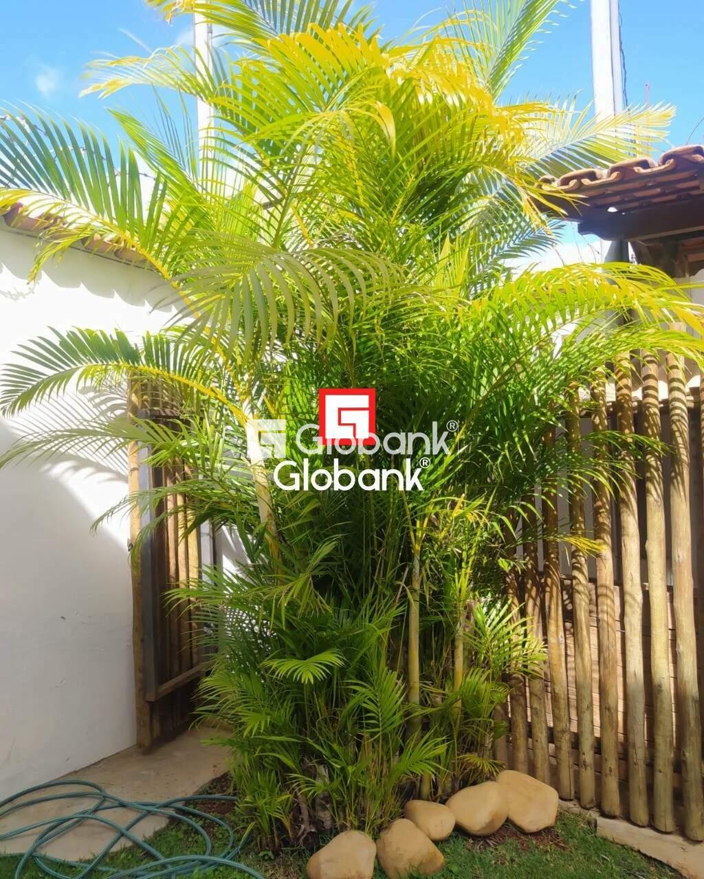 Casa 4 quartos à venda Morada da Serra 0,01m² Montes Claros MG: Foto 12 | Foto_migracao | 21