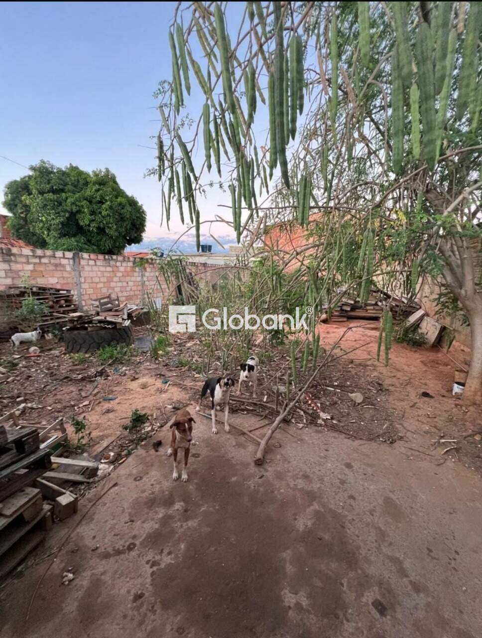 Terreno à venda Nossa Senhora das Graças 0m² Montes Claros MG: 