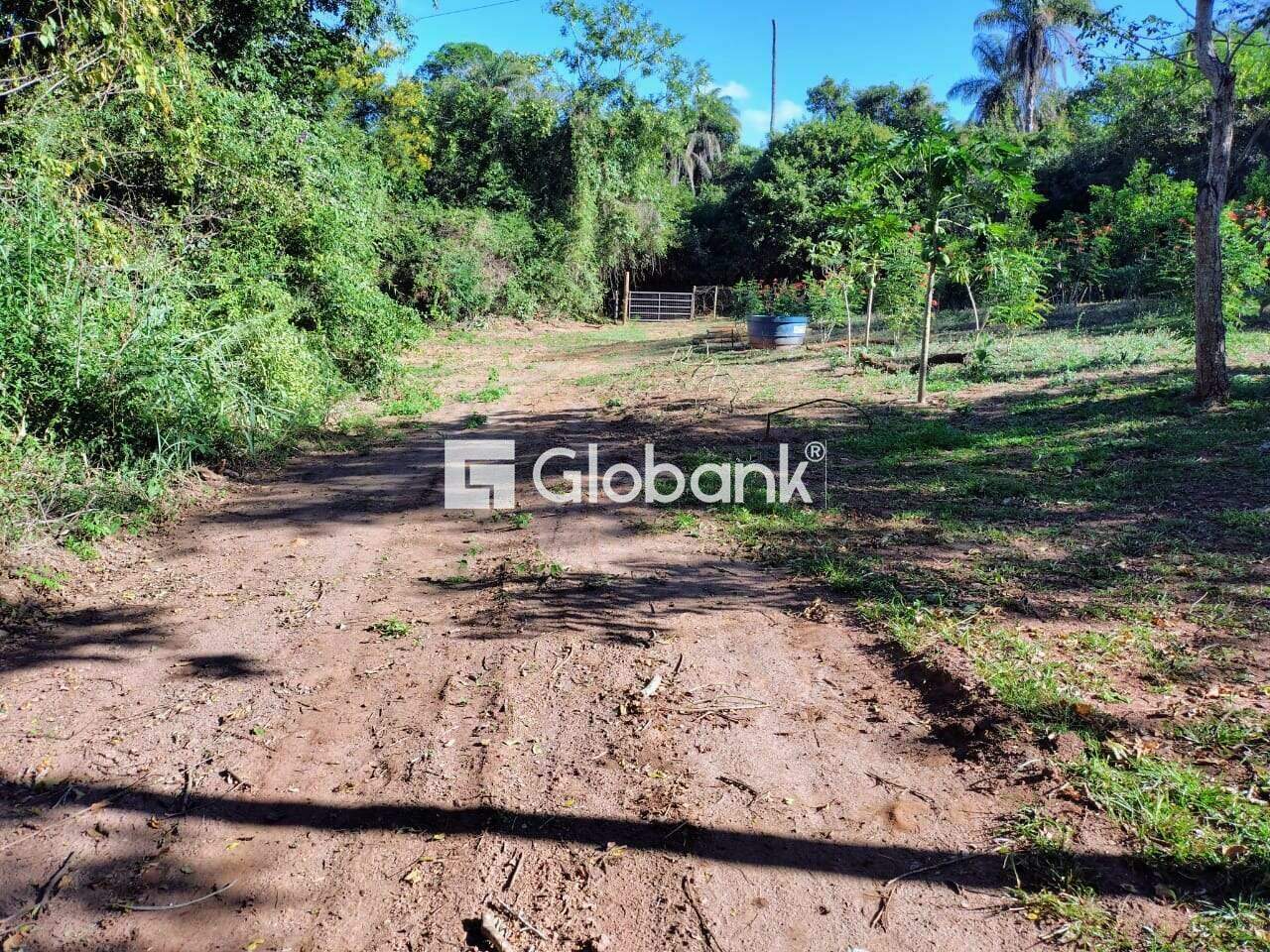 Chácara 2 quartos à venda Área Rural de Montes Claros 0m² Montes Claros MG: 