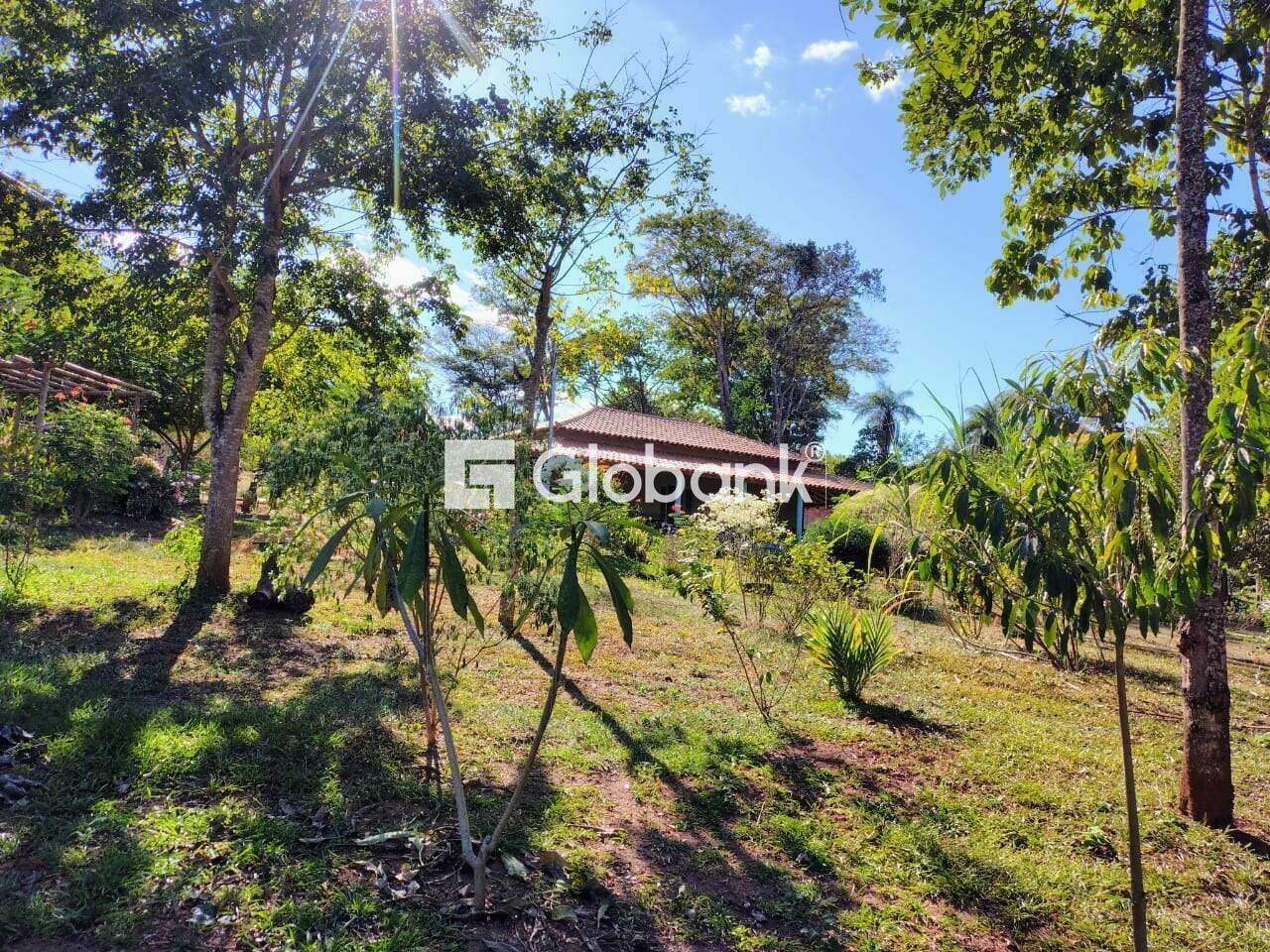 Chácara 2 quartos à venda Área Rural de Montes Claros 0m² Montes Claros MG: 