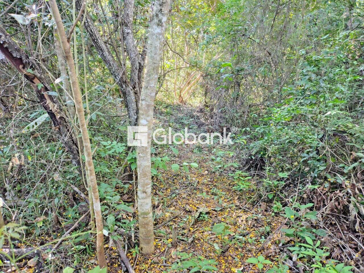 Chácara 2 quartos à venda Área Rural de Montes Claros 0m² Montes Claros MG: 