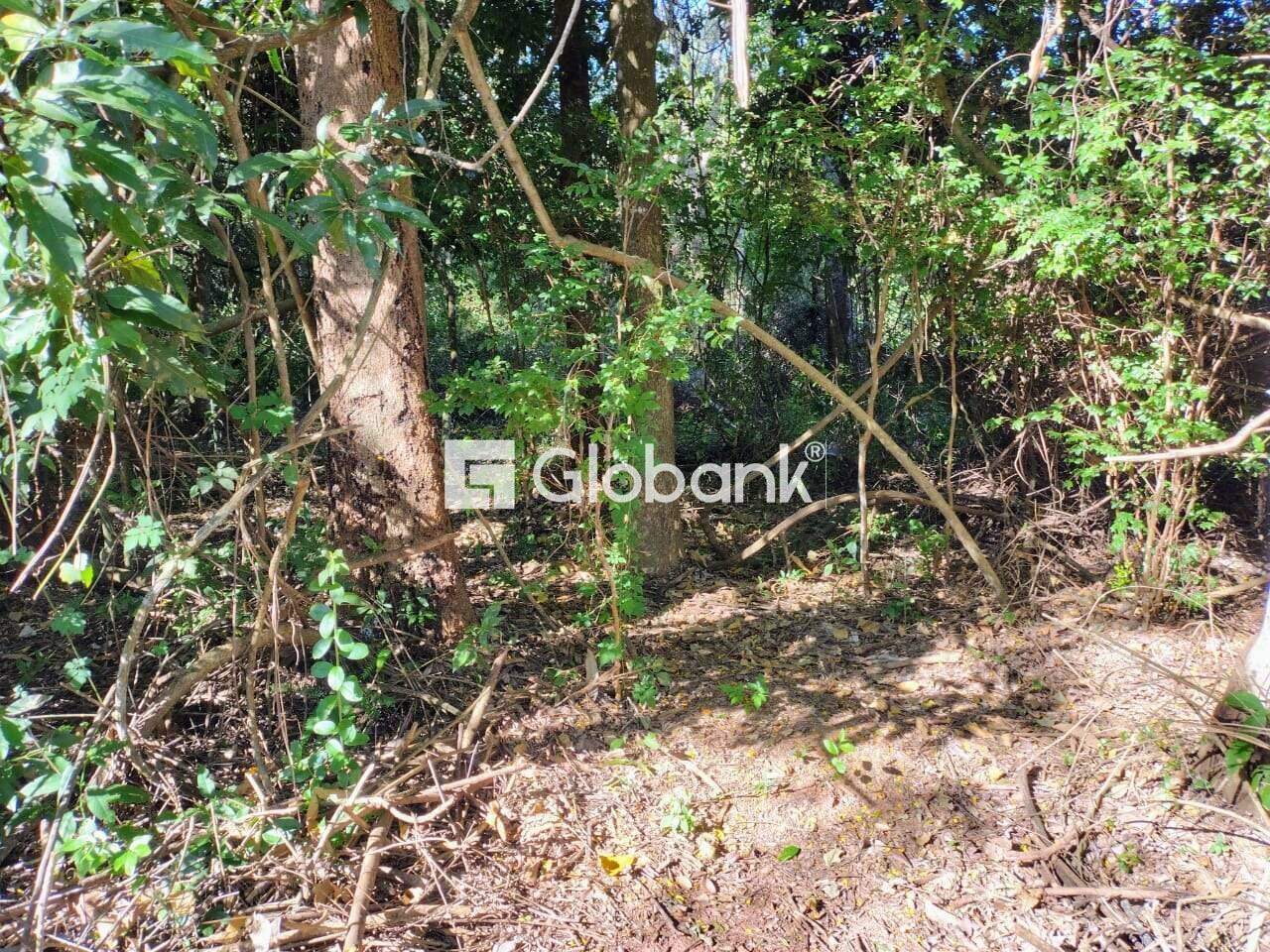 Chácara 2 quartos à venda Área Rural de Montes Claros 0m² Montes Claros MG: 