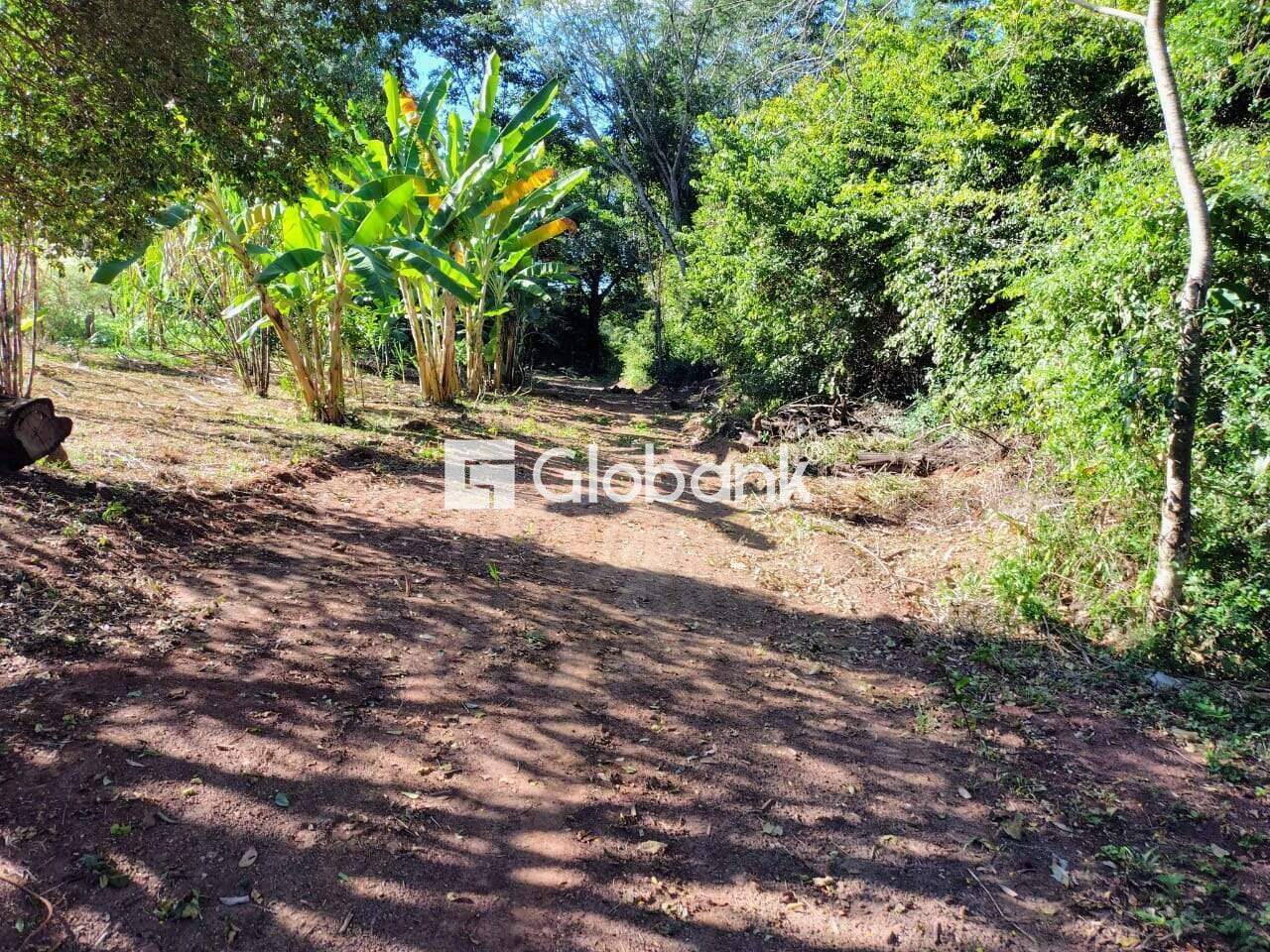 Chácara 2 quartos à venda Área Rural de Montes Claros 0m² Montes Claros MG: 